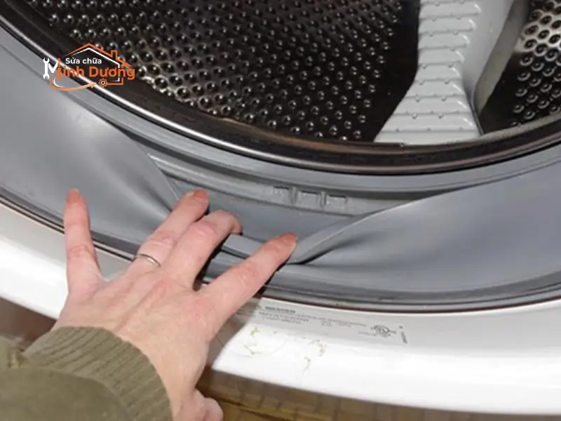 Nấm mốc đen bám trên gioăng cao su máy giặt cửa ngang