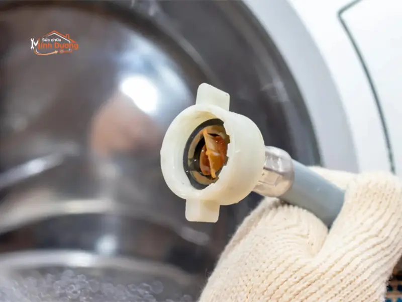 Lưới lọc van cấp nước máy giặt bị bít kín rong rêu